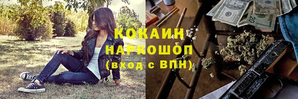 прущие грибы Алексеевка