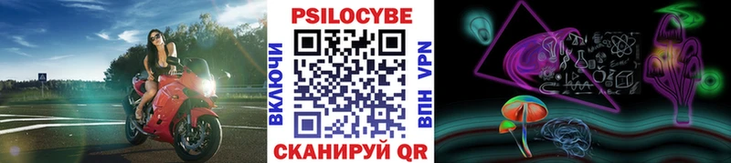 Галлюциногенные грибы мицелий Чухлома